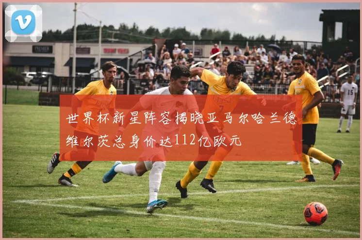 世界杯新星阵容揭晓亚马尔哈兰德维尔茨总身价达112亿欧元