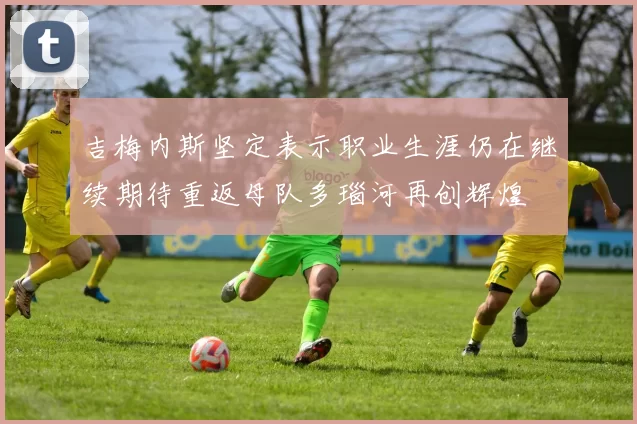 吉梅内斯坚定表示职业生涯仍在继续期待重返母队多瑙河再创辉煌